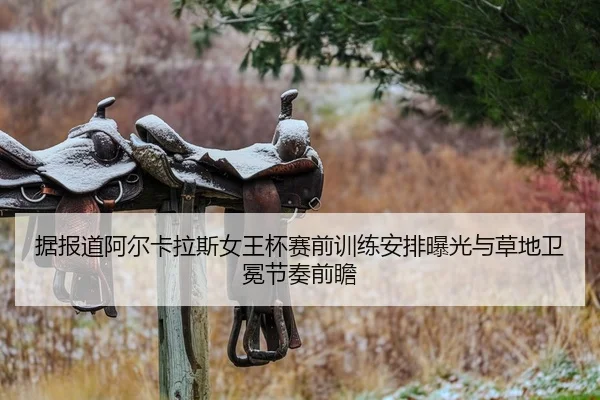 ju-bao-dao-a-er-ka-la-si-nv-wang-bei-sai-qian-xun-lian-an-pai-bao-guang-yu-cao-di-wei-mian-jie-zou-qian-zhan-1-120.jpg
